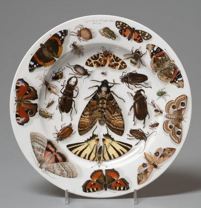 Plate, Lippert & Haas, Schlaggenwald av Johann Quast