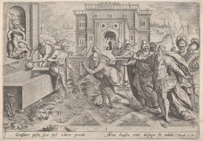 Plågan av gräshoppor, c.1585. av Johann Sadeler I