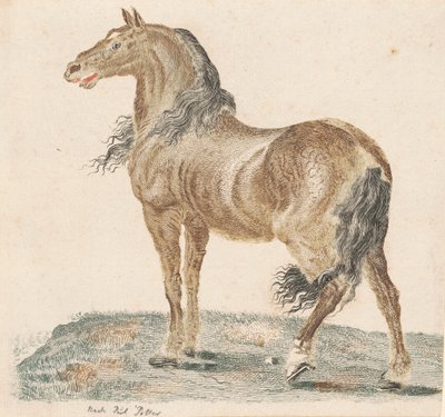 Grannhästen, 1690-talet. av Johann Teyler