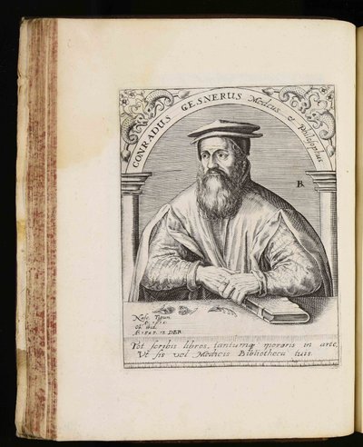 Conrad Gessner av Johann Theodor de Bry