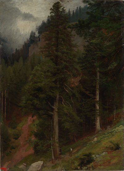 Sluttning i granskogen av Johann Wilhelm Schirmer