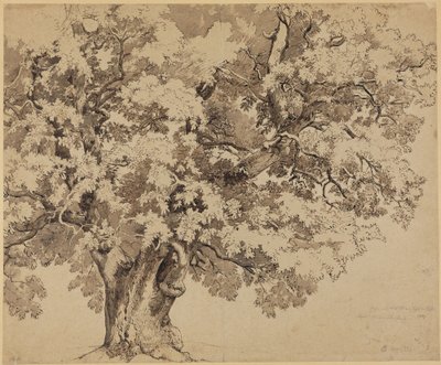 Ek på Wilhelmshöhe nära Kassel av Johann Wilhelm Schirmer