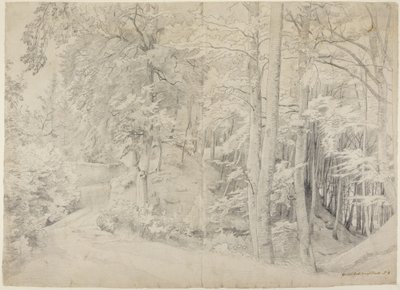 I bokskogen av Johann Wilhelm Schirmer
