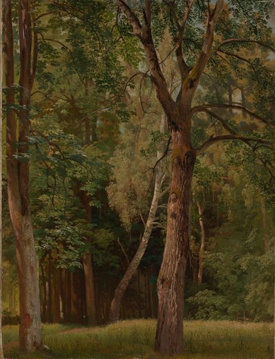 Lövskog med kastanjer och björkar av Johann Wilhelm Schirmer