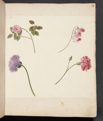 Studie av blommor av Johanna Fosie