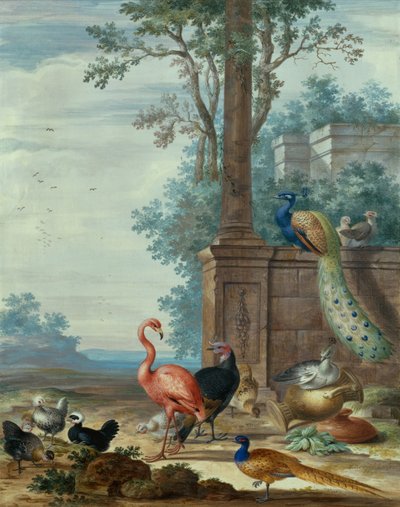 Ett italienskt landskap med en påfågel, fasan, flamingo och andra fåglar (gouache) av Johannes Bronckhorst