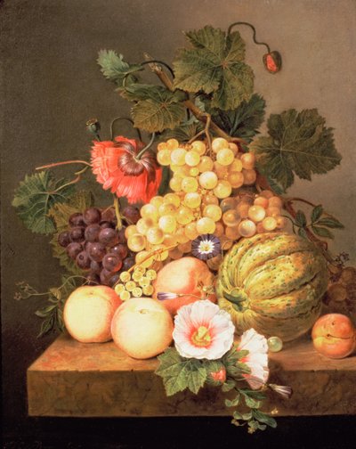 Stilleben med frukt av Johannes Cornelis Bruyn