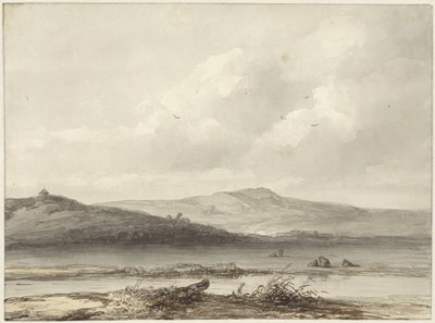 dynlandskap av Johannes Franciscus Hoppenbrouwers