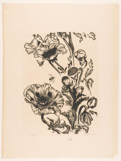 Studera papavers (originaltitel på objekt) av Johannes Frederik Engelbert ten Klooster (signed by artist)