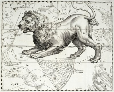 Lejonet, stjärnkonstellationen Lejon, illustration hämtad från Johann Hevelius (1611-1687) stjärnatlas Firmamentum Sobiescianum sive Uranographia, Gdansk av Johannes Hevelius