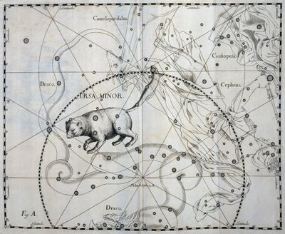 Ursa Minor, Boreal konstellation Ursa Minor, gravyr från himmelsatlas Firmamentum Sobiescianum sive Uronographia, av Johann Hevelius (1611-1687), Gdansk av Johannes Hevelius