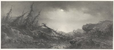 Av de Storm av Johannes Hilverdink