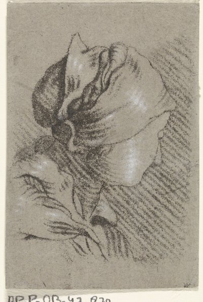 Kvinna byst av Johannes Janson (possibly)