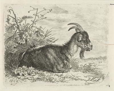 Liggande bok av Johannes Mock