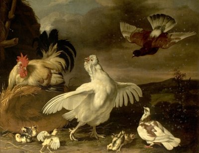 Tupp och höna med höns och duvor av Johannes Spruyt