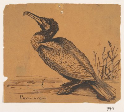Skarv Cormoran (titel på objekt) av Johannes Tavenraat