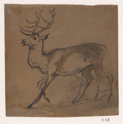 Hert av Johannes Tavenraat