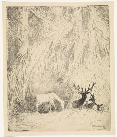 Rådjur i en bohemisk skog av Johannes Tavenraat