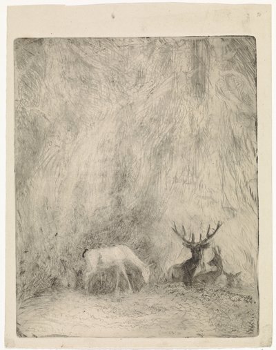 Rådjur i en bohemisk skog av Johannes Tavenraat