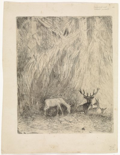 Rådjur i en bohemisk skog av Johannes Tavenraat