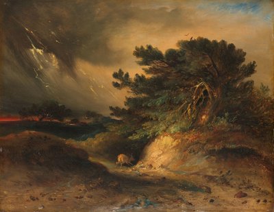 Åskvädret Åskvädret av Johannes Tavenraat