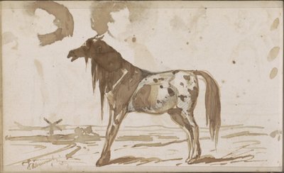 Platt landskap med en häst av Johannes Tavenraat