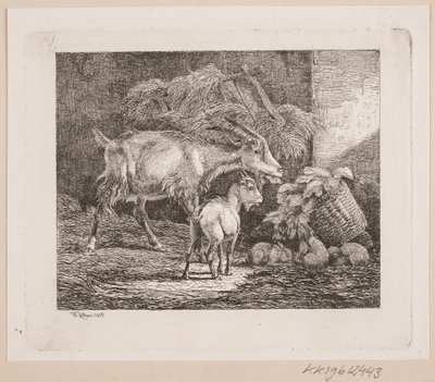 En get, en unge och kaniner i en lada av Johannes Wilhelm Zillen