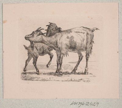 En get med sin unge av Johannes Wilhelm Zillen