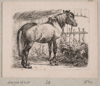 En häst med grimma av Johannes Wilhelm Zillen
