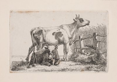 En vilande och en stående ko av Johannes Wilhelm Zillen
