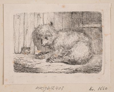 En långhårig hund av Johannes Wilhelm Zillen