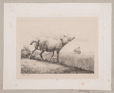 Ett bräkande får av Johannes Wilhelm Zillen