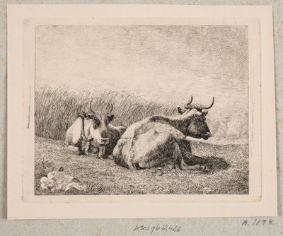 Två vilande kor av Johannes Wilhelm Zillen