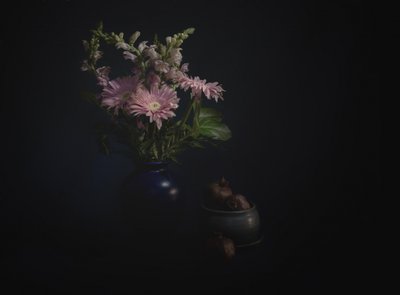Mörkt blomsterstilleben av John-Mei Zhong