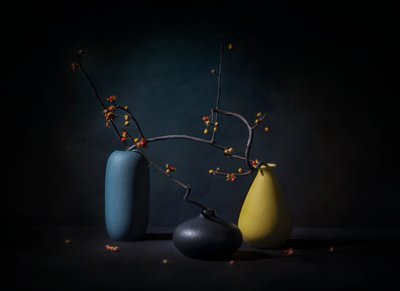 Elegant stilleben med grenar av John-Mei Zhong