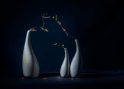 Eleganta vaser med blommor av John-Mei Zhong