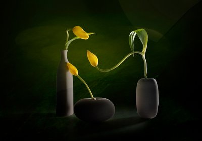 Gröna och gula blomvaser av John-Mei Zhong