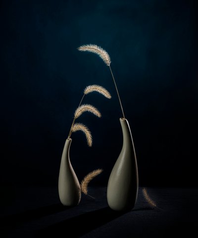 Moody botaniska vaser av John-Mei Zhong