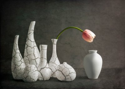 Rosa tulpanvaser med sprickor av John-Mei Zhong