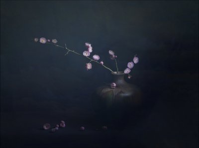 Stilleben med plommonblommor av John-Mei Zhong