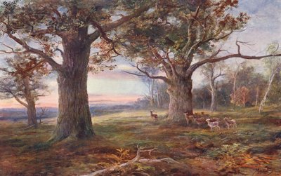 I utkanten av Sherwoodskogen (färglitografi) av John (after) MacWhirter