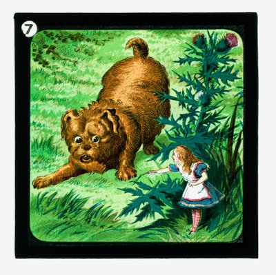 Alice i Underlandet, färgglada lyktor (lanternruta) av John (after) Tenniel