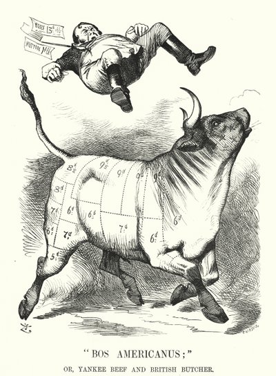 Punch tecknad: Bos Americanus; eller, Yankee Beef och British Butcher - förväntade fördelar för konsumenterna av att importera amerikanskt kött (gravyr) av John (after) Tenniel