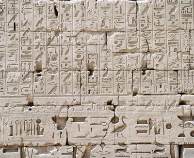 Egypten, Luxor guvernement, Karnak, Amons stora tempel, Stora hypotekshallen, detalj av yttervägg av Walter Charles Mills
