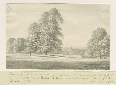 Lichfield Cathedral - Utsikt från Aldershaw (avlägsen): sepiateckning av John Allport