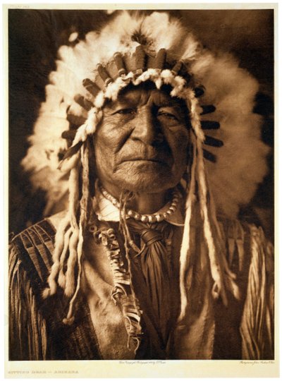 "Sittande björn - Arikara", 1908 av John Andrew and Son