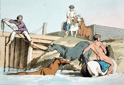 Badande hästar, etsad av konstnären, publicerad 1803 (färglitografi) av John Augustus Atkinson