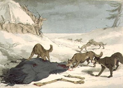 Wolf Hunt, skylt 74 från volym III av "Ryssarnas seder, seder och nöjen", graverad av konstnären, pub. 1804 (akvatint) av John Augustus Atkinson