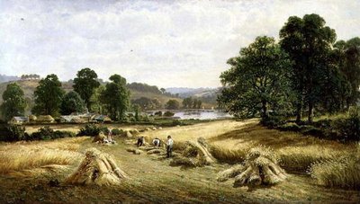 Samla guldkornet nära Bishopsteignton, Plymouth av John Barrett