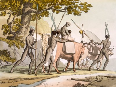 Vol II Pl.55 Korah Hottentots of the Cape on the move, från 